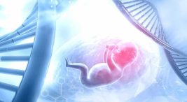 Fetal DNA Testi nedir