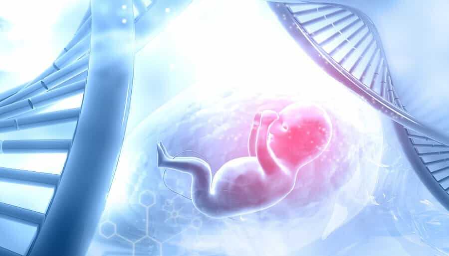 Fetal DNA Testi nedir