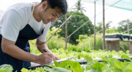 Organik Bahçe Kuran Ünlüler