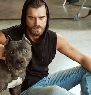 7 Detayda Kıvanç Tatlıtuğ Köpeği Cinsi, Bakım Zorlukları ve Masrafı