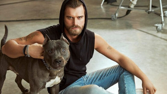 7 Detayda Kıvanç Tatlıtuğ Köpeği Cinsi, Bakım Zorlukları ve Masrafı