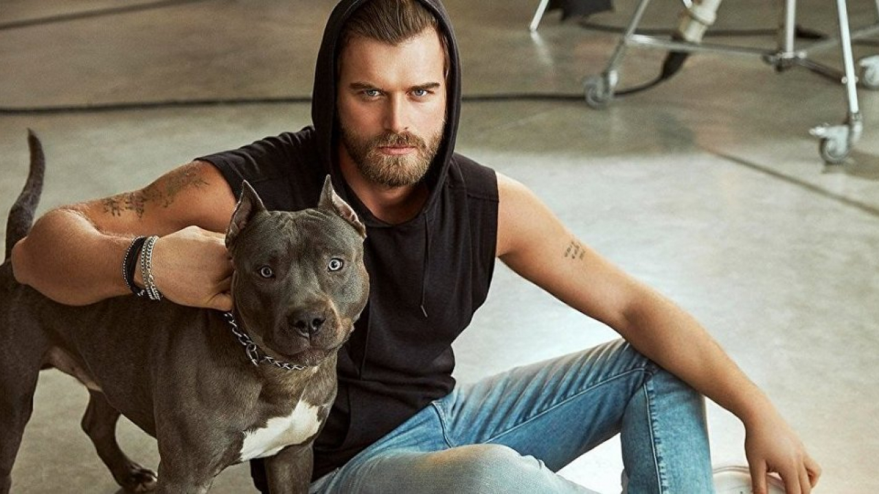 7 Detayda Kıvanç Tatlıtuğ Köpeği Cinsi, Bakım Zorlukları ve Masrafı