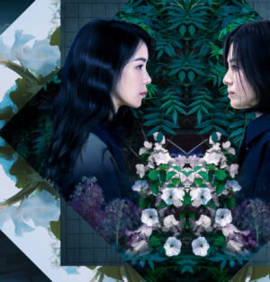 The Glory ve En İyi İntikam Temalı Kore Dizileri: Adalet Rehberi